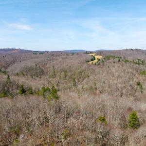 Photo #26 of 311 Dan River Rd, Meadows of Dan, VA 116.3 acres