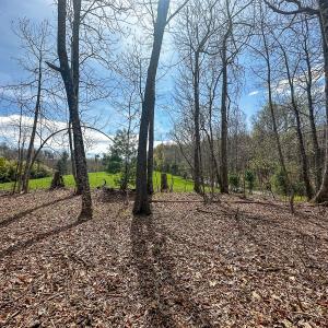 Photo #33 of 311 Dan River Rd, Meadows of Dan, VA 116.3 acres