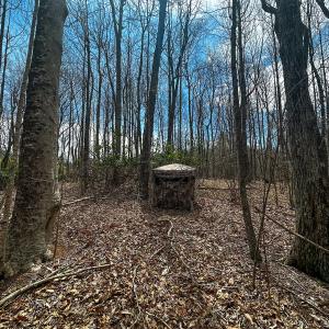 Photo #35 of 311 Dan River Rd, Meadows of Dan, VA 116.3 acres