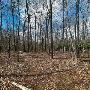 Photo #36 of 311 Dan River Rd, Meadows of Dan, VA 116.3 acres