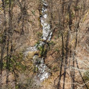 Photo #38 of 311 Dan River Rd, Meadows of Dan, VA 116.3 acres