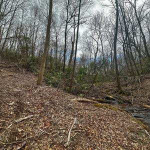Photo #39 of 311 Dan River Rd, Meadows of Dan, VA 116.3 acres