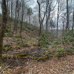 Photo #40 of 311 Dan River Rd, Meadows of Dan, VA 116.3 acres