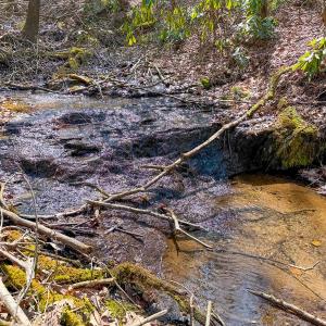 Photo #41 of 311 Dan River Rd, Meadows of Dan, VA 116.3 acres