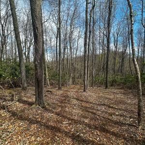 Photo #48 of 311 Dan River Rd, Meadows of Dan, VA 116.3 acres