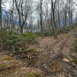 Photo #49 of 311 Dan River Rd, Meadows of Dan, VA 116.3 acres