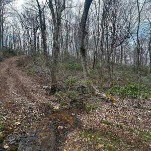 Photo #50 of 311 Dan River Rd, Meadows of Dan, VA 116.3 acres