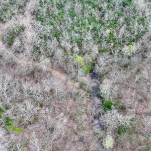 Photo #55 of 311 Dan River Rd, Meadows of Dan, VA 116.3 acres