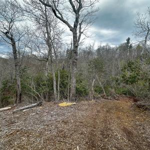 Photo #57 of 311 Dan River Rd, Meadows of Dan, VA 116.3 acres