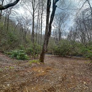 Photo #58 of 311 Dan River Rd, Meadows of Dan, VA 116.3 acres