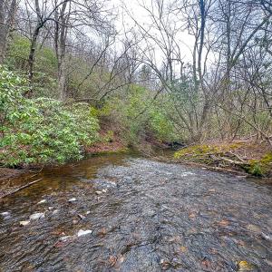 Photo #59 of 311 Dan River Rd, Meadows of Dan, VA 116.3 acres