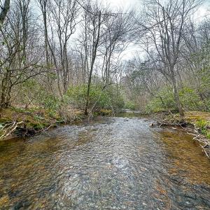 Photo #60 of 311 Dan River Rd, Meadows of Dan, VA 116.3 acres