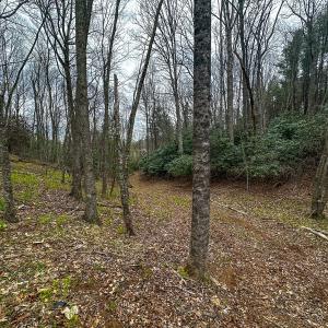 Photo #76 of 311 Dan River Rd, Meadows of Dan, VA 116.3 acres