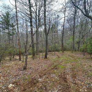 Photo #77 of 311 Dan River Rd, Meadows of Dan, VA 116.3 acres