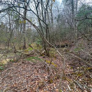 Photo #78 of 311 Dan River Rd, Meadows of Dan, VA 116.3 acres