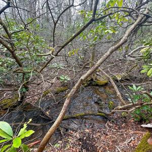 Photo #79 of 311 Dan River Rd, Meadows of Dan, VA 116.3 acres