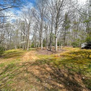 Photo #80 of 311 Dan River Rd, Meadows of Dan, VA 116.3 acres