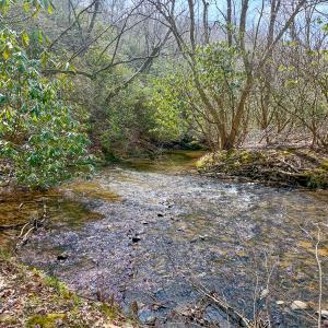 Photo #81 of 311 Dan River Rd, Meadows of Dan, VA 116.3 acres