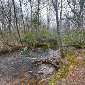 Photo #82 of 311 Dan River Rd, Meadows of Dan, VA 116.3 acres