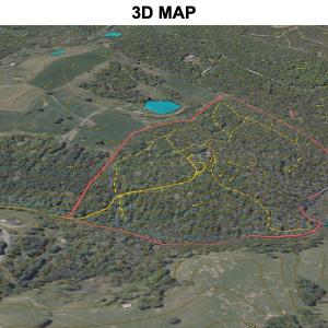 Photo #83 of 311 Dan River Rd, Meadows of Dan, VA 116.3 acres