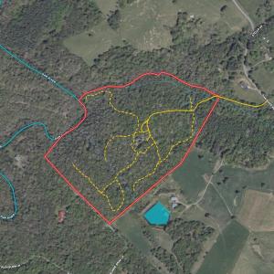 Photo #85 of 311 Dan River Rd, Meadows of Dan, VA 116.3 acres