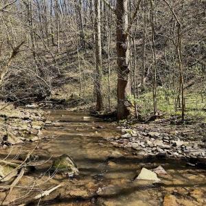 Photo #10 of 1297 Dry Creek Road, Blackwater, VA 50.5 acres