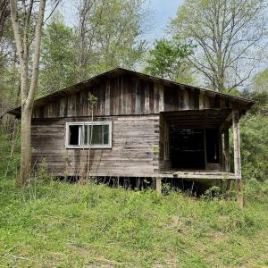 Photo #15 of 1297 Dry Creek Road, Blackwater, VA 50.5 acres