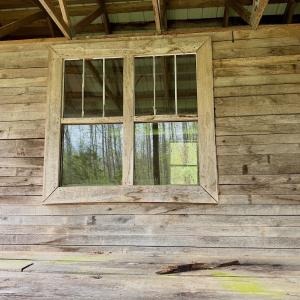 Photo #16 of 1297 Dry Creek Road, Blackwater, VA 50.5 acres