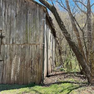 Photo #17 of 1297 Dry Creek Road, Blackwater, VA 50.5 acres