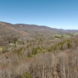 Photo #21 of 1297 Dry Creek Road, Blackwater, VA 50.5 acres