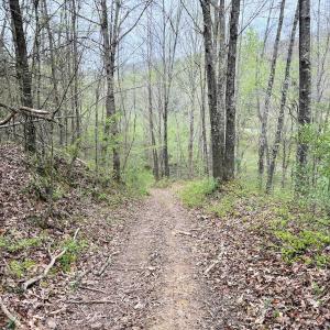 Photo #22 of 1297 Dry Creek Road, Blackwater, VA 50.5 acres