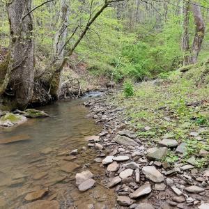 Photo #23 of 1297 Dry Creek Road, Blackwater, VA 50.5 acres