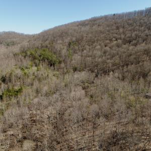Photo #6 of 1297 Dry Creek Road, Blackwater, VA 50.5 acres