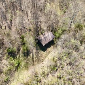 Photo #8 of 1297 Dry Creek Road, Blackwater, VA 50.5 acres