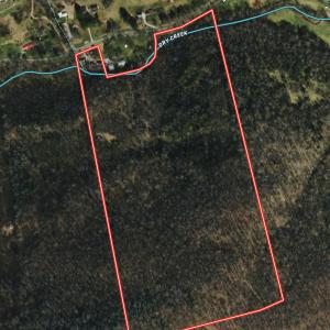 Photo #25 of 1297 Dry Creek Road, Blackwater, VA 50.5 acres