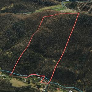 Photo #27 of 1297 Dry Creek Road, Blackwater, VA 50.5 acres