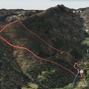 Photo #28 of 1297 Dry Creek Road, Blackwater, VA 50.5 acres