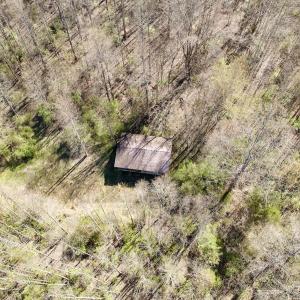 Photo #31 of 1297 Dry Creek Road, Blackwater, VA 50.5 acres