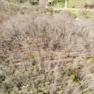 Photo #33 of 1297 Dry Creek Road, Blackwater, VA 50.5 acres