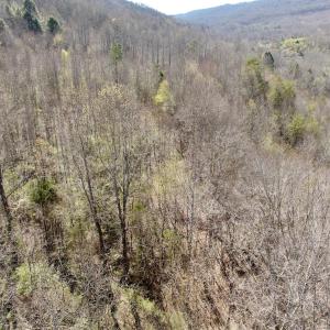 Photo #35 of 1297 Dry Creek Road, Blackwater, VA 50.5 acres