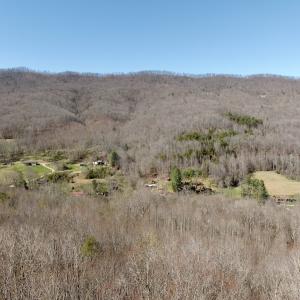 Photo #41 of 1297 Dry Creek Road, Blackwater, VA 50.5 acres
