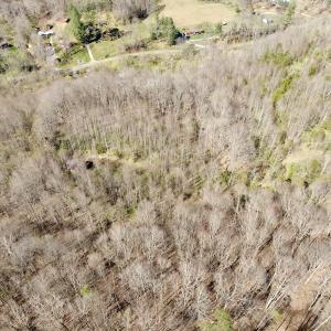 Photo #42 of 1297 Dry Creek Road, Blackwater, VA 50.5 acres