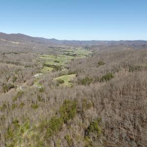 Photo #44 of 1297 Dry Creek Road, Blackwater, VA 50.5 acres
