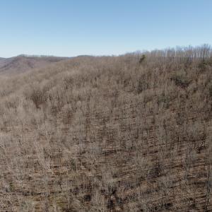 Photo #45 of 1297 Dry Creek Road, Blackwater, VA 50.5 acres