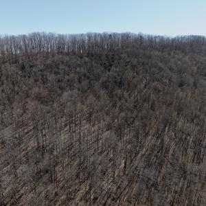Photo #46 of 1297 Dry Creek Road, Blackwater, VA 50.5 acres