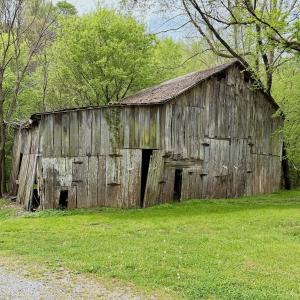 Photo #51 of 1297 Dry Creek Road, Blackwater, VA 50.5 acres