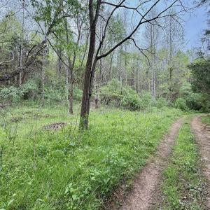 Photo #57 of 1297 Dry Creek Road, Blackwater, VA 50.5 acres