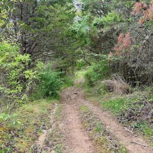 Photo #59 of 1297 Dry Creek Road, Blackwater, VA 50.5 acres