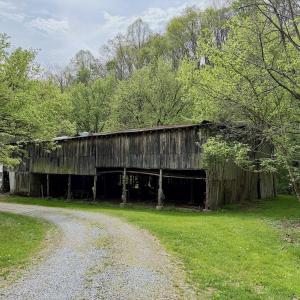 Photo #52 of 1297 Dry Creek Road, Blackwater, VA 50.5 acres