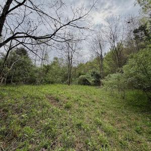 Photo #62 of 1297 Dry Creek Road, Blackwater, VA 50.5 acres